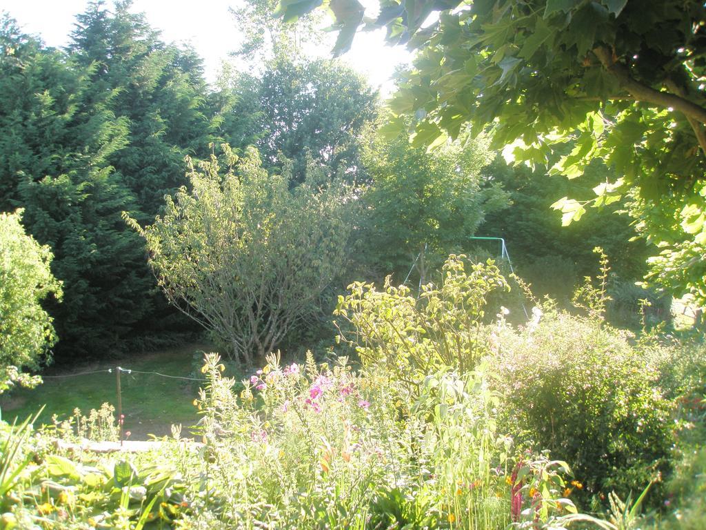 La Ferme De Leychoisier Bed & Breakfast Bonnac-la-Côte Екстериор снимка