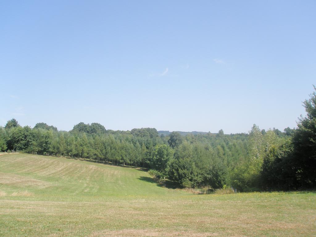 La Ferme De Leychoisier Bed & Breakfast Bonnac-la-Côte Екстериор снимка